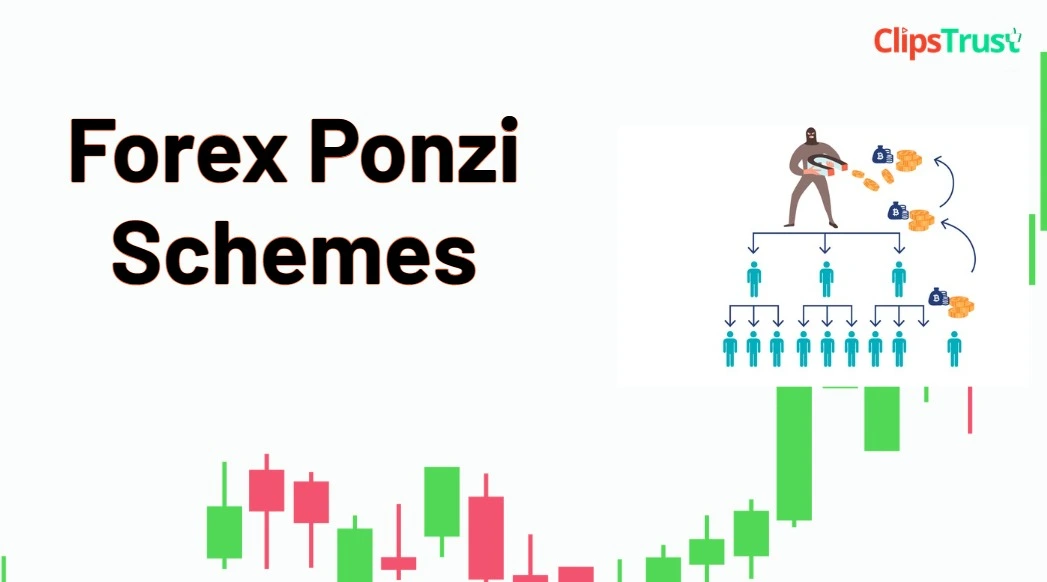 Forex Ponzi Schemes : Warning Signs & Scam Awareness